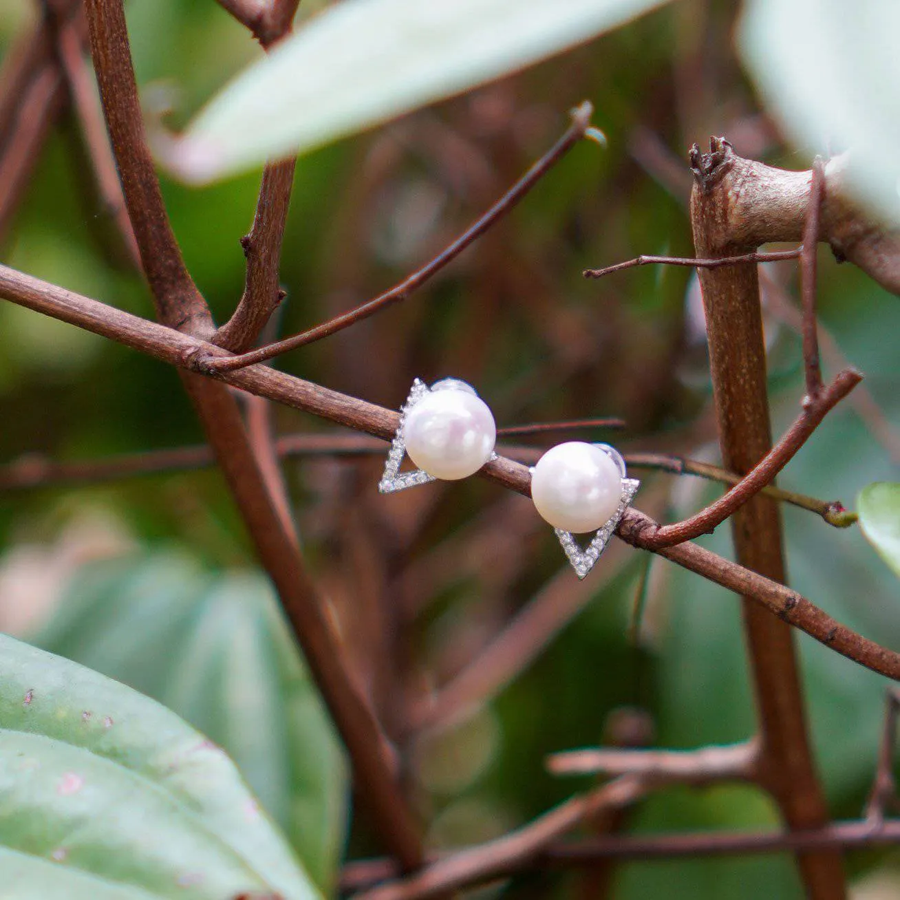 Elegant Freshwater Pearl Earrings WE00030