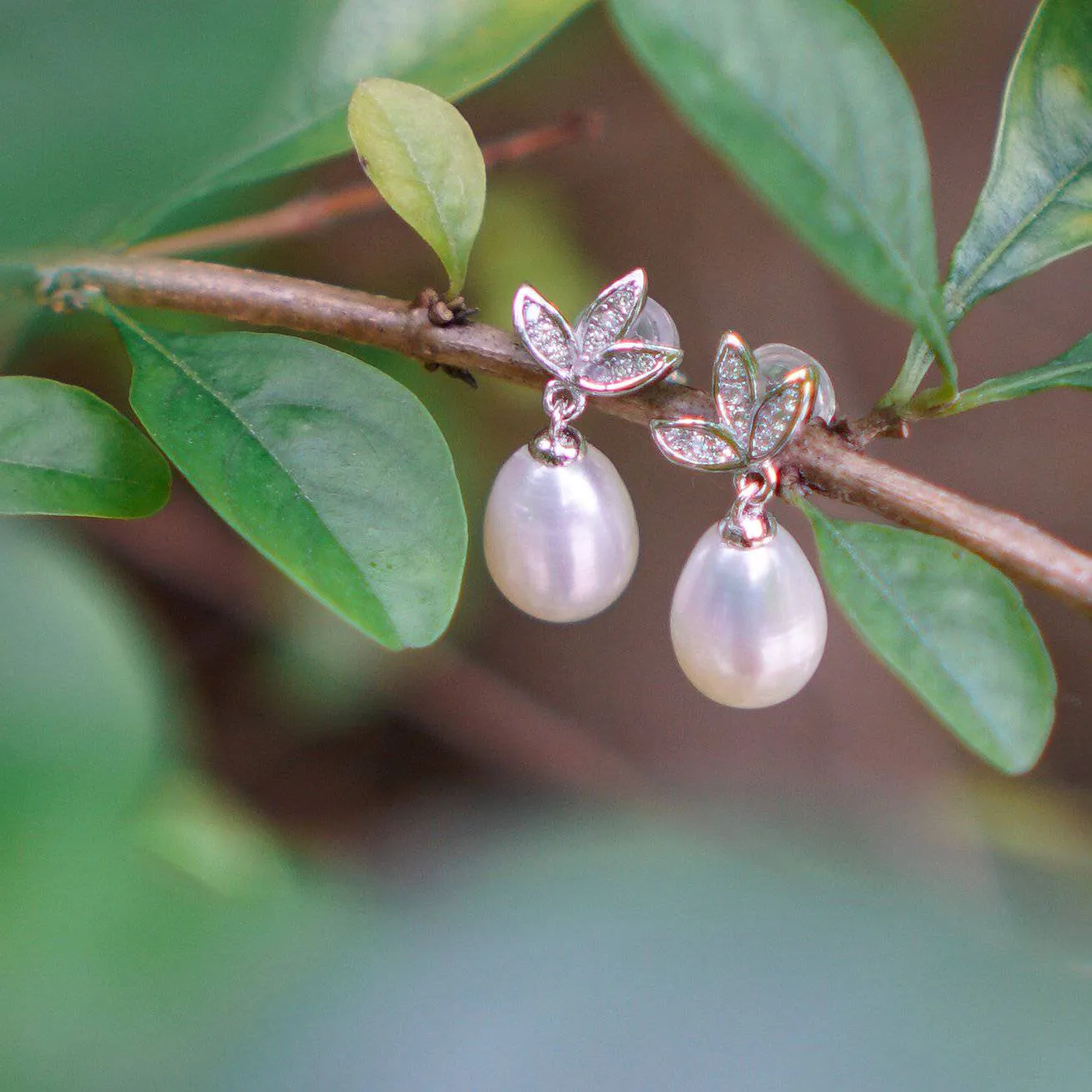 Elegant Freshwater Pearl Earrings WE00055